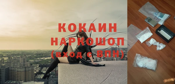 кокс Арсеньев