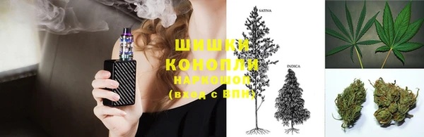 кокс Арсеньев