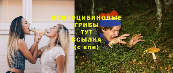 мяу мяу мука Алзамай