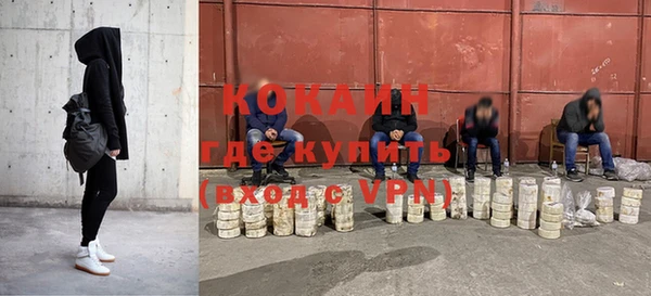 кокс Арсеньев
